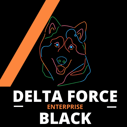 Delta Force Black Enterprise LLC
